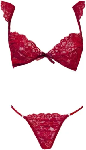 Valentine's Day Sexy Lingerie for Women Bra Brief Underwear Bralette Set Lace Sleepwear Plus Size Sexy Lingerie