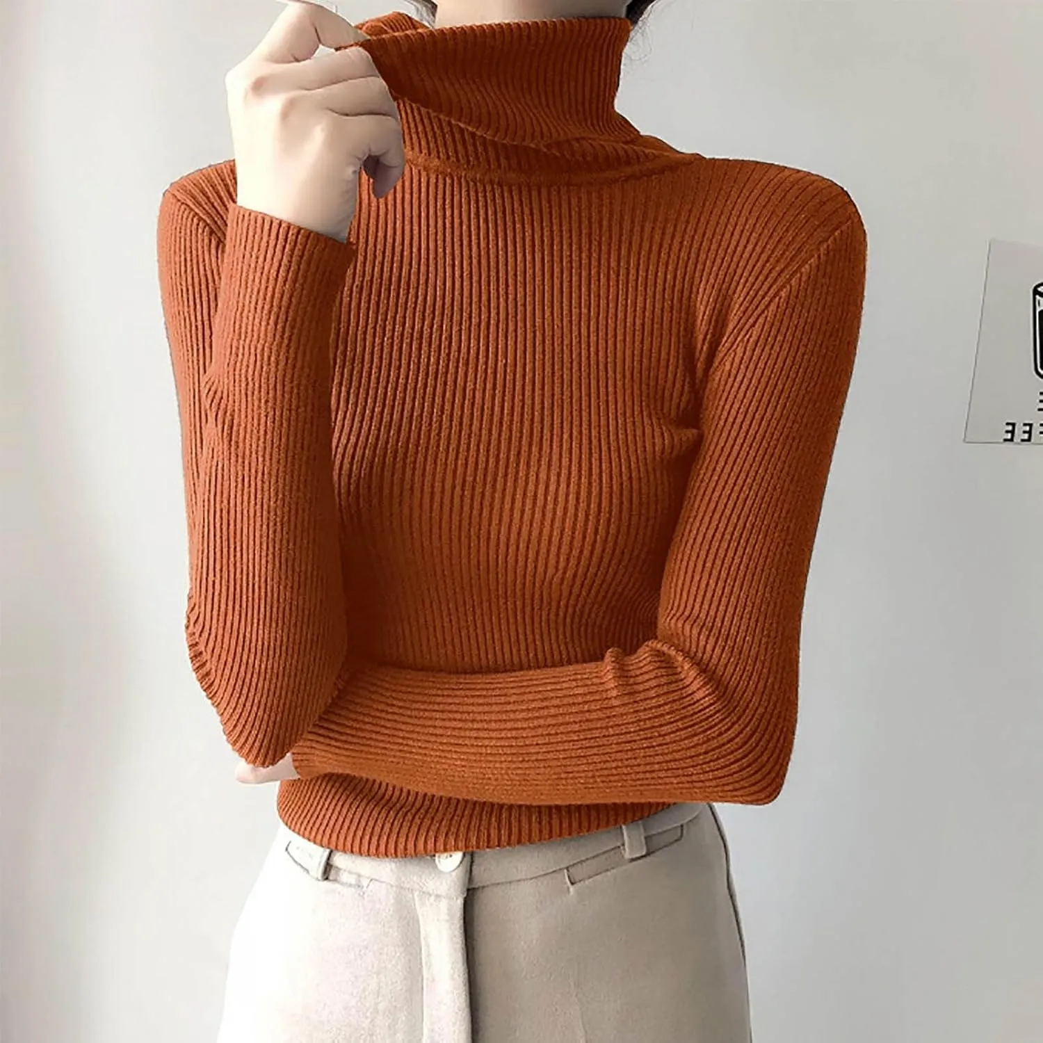 Women's Knit Turtleneck Sweater Fall Fashion Long Sleeve Outfits Solid Color Basic Tops Pullover Casual Sweater